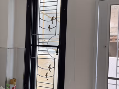 ภาพแกลลอรี่ 18