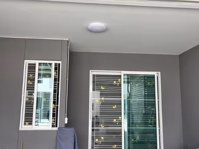 ภาพแกลลอรี่ 167